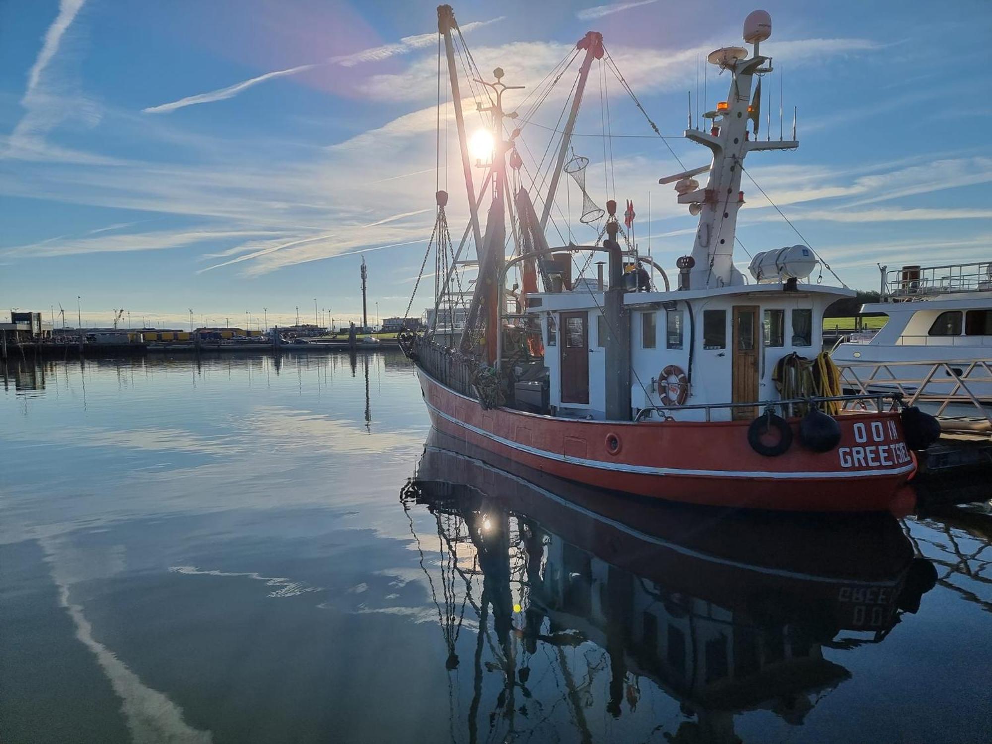 Ferienwohnung Norderhafen 诺登 外观 照片